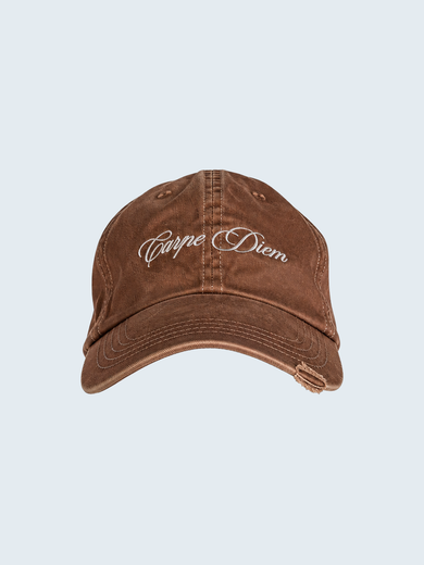 Carpe Diem Mud Brown Dad Cap